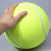Giant Tennis Ball