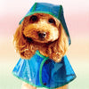 Just Enjoy the Rain™ Raincoat
