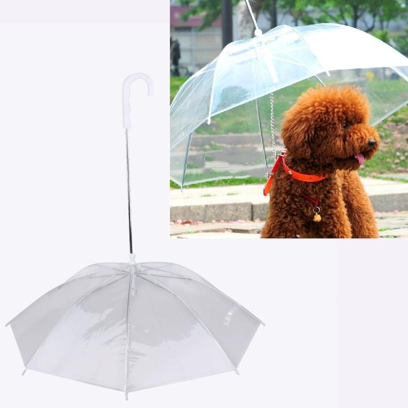 Transparent Umbrella and Leash