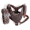 Wanna Tango™ Leather Harness and Collar Set