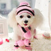 6 Piece Keep My Dog Cute and Warm Collection