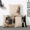 Home Decor Pet Pillows