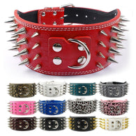 The Spiked Collar ™